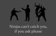 ninja